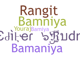 ชื่อเล่น - Bamniya