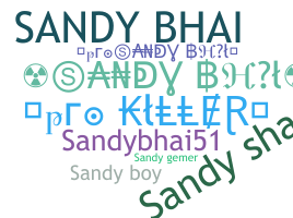 ชื่อเล่น - Sandybhai