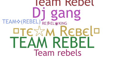 ชื่อเล่น - TeamRebel