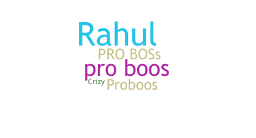 ชื่อเล่น - ProBoos