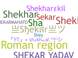 ชื่อเล่น - Shekar