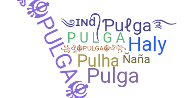 ชื่อเล่น - Pulga