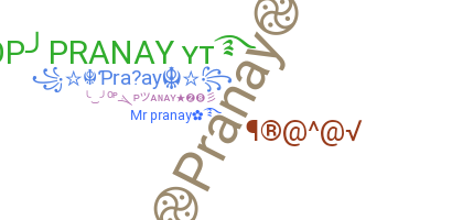 ชื่อเล่น - Pranay