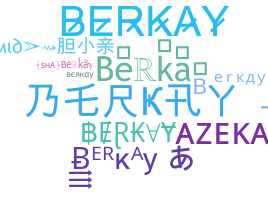 ชื่อเล่น - Berkay