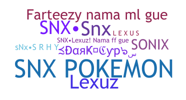 ชื่อเล่น - SNx