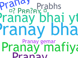 ชื่อเล่น - Pranaybhai