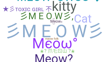 ชื่อเล่น - meow