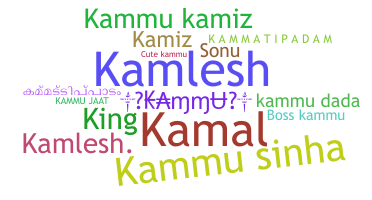 ชื่อเล่น - Kammu