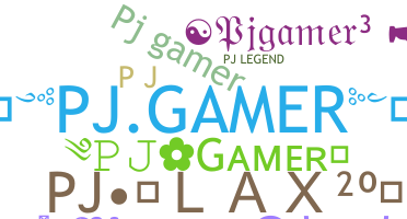 ชื่อเล่น - PJgamer