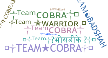 ชื่อเล่น - TeamCobra