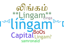 ชื่อเล่น - Lingam