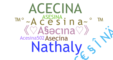 ชื่อเล่น - Acesina