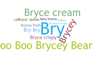 ชื่อเล่น - Bryce