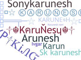 ชื่อเล่น - Karunesh