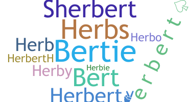 ชื่อเล่น - Herbert