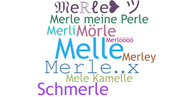 ชื่อเล่น - Merle