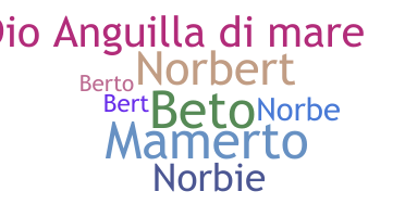 ชื่อเล่น - Norberto