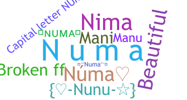 ชื่อเล่น - Numa