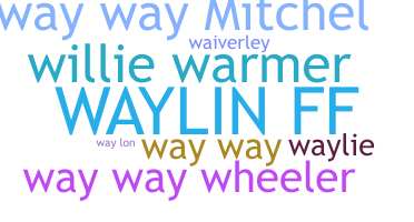 ชื่อเล่น - Waylin