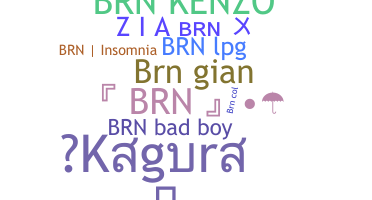 ชื่อเล่น - brN