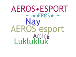ชื่อเล่น - Aeros
