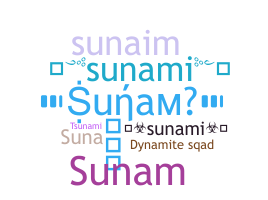ชื่อเล่น - Sunami