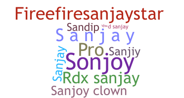 ชื่อเล่น - Sanjoy