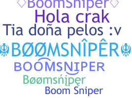 ชื่อเล่น - BoomSniper