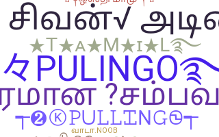 ชื่อเล่น - Pulingo