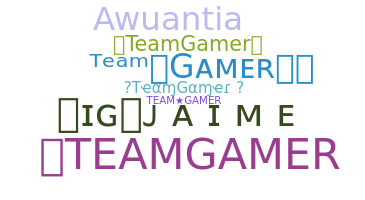 ชื่อเล่น - TeamGamer