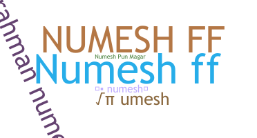 ชื่อเล่น - Numesh