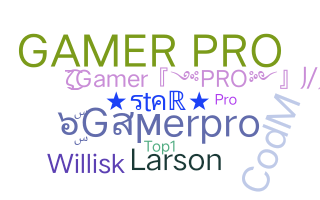 ชื่อเล่น - Gamerpro