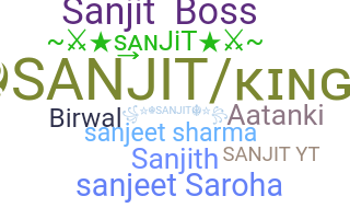 ชื่อเล่น - Sanjit