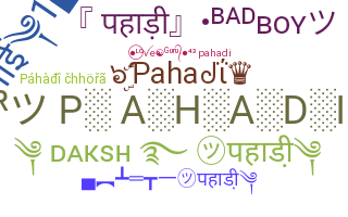 ชื่อเล่น - Pahadi
