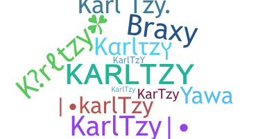 ชื่อเล่น - Karltzy