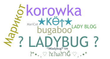 ชื่อเล่น - Ladybug