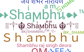 ชื่อเล่น - Shambhu