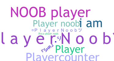 ชื่อเล่น - PlayerNoob