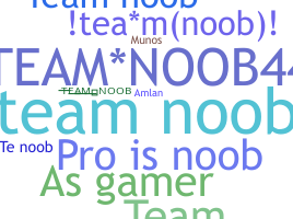 ชื่อเล่น - TeamNoob