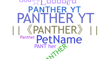 ชื่อเล่น - PantherYT