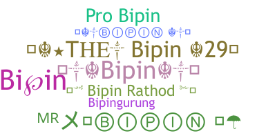 ชื่อเล่น - Bipin