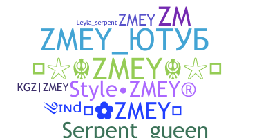 ชื่อเล่น - Zmey