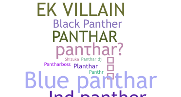 ชื่อเล่น - panthar