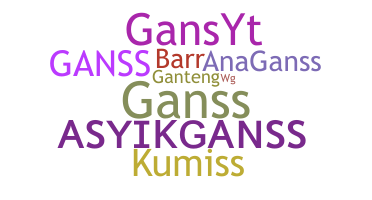 ชื่อเล่น - GansS