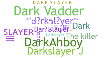 ชื่อเล่น - darkslayer