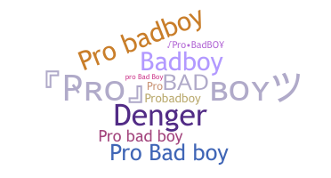 ชื่อเล่น - ProBadboy