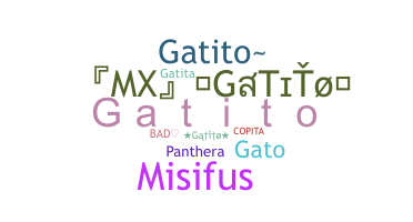 ชื่อเล่น - Gatito