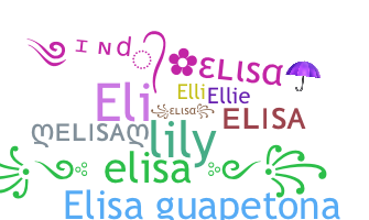 ชื่อเล่น - Elisa