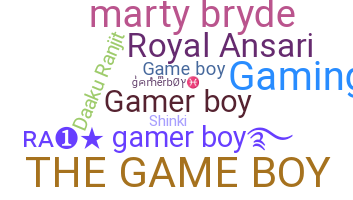ชื่อเล่น - gamerboy