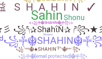 ชื่อเล่น - Shahin